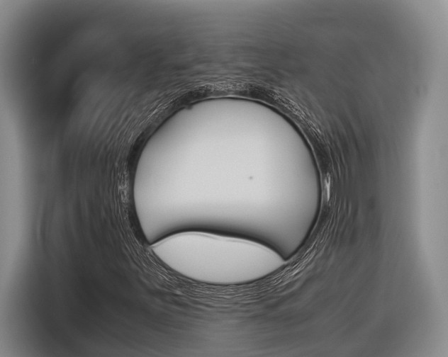 X0000116561251200912100936
