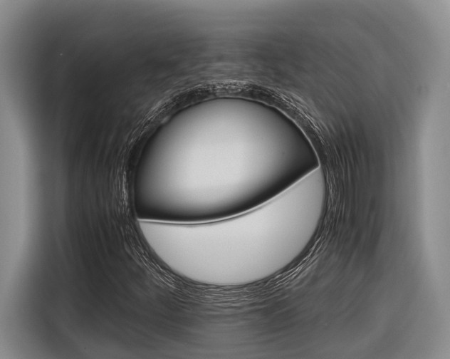 X0000116561252200912100936