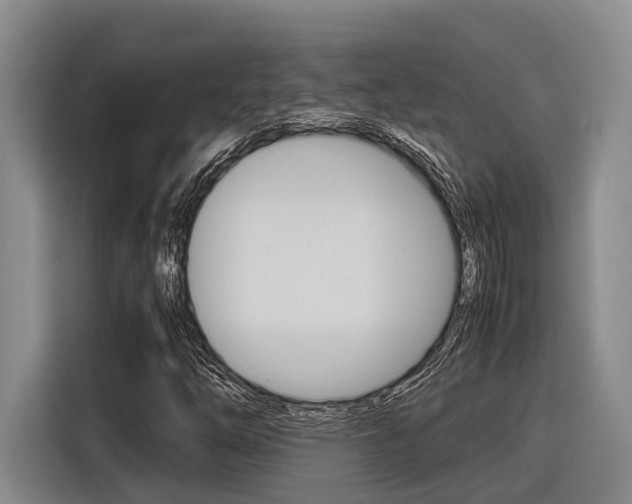 X0000116561254200912100936