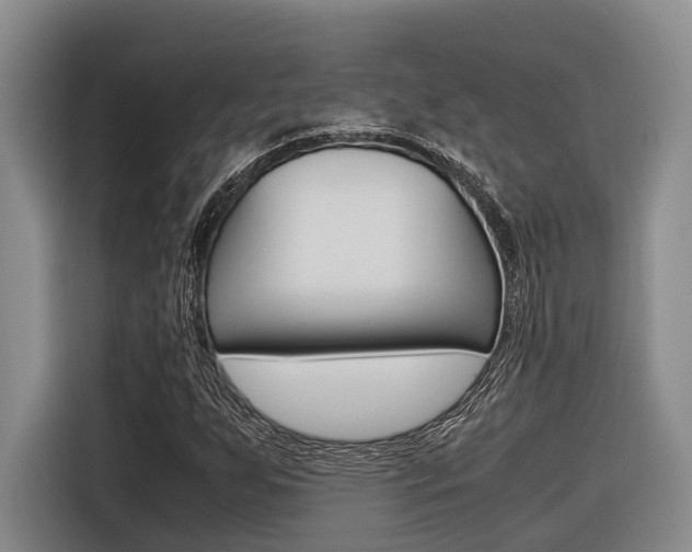 X0000116561255200912100936
