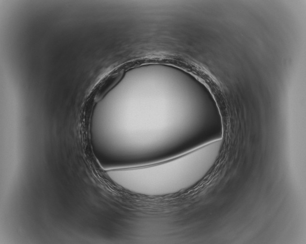 X0000116561256200912100936