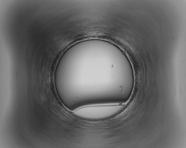 X0000116561257200912100936