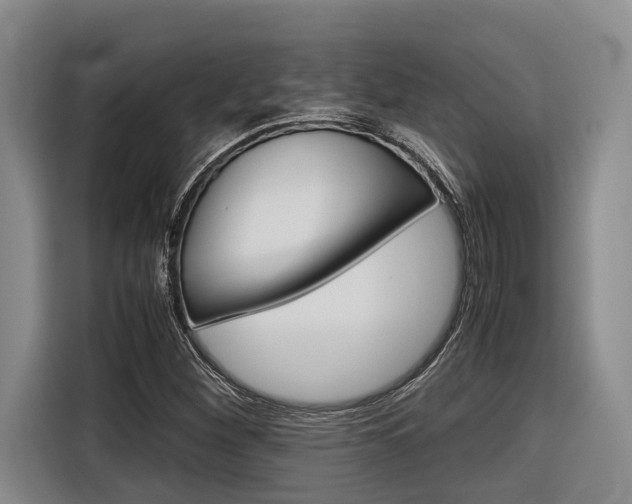 X0000116561260200912100936