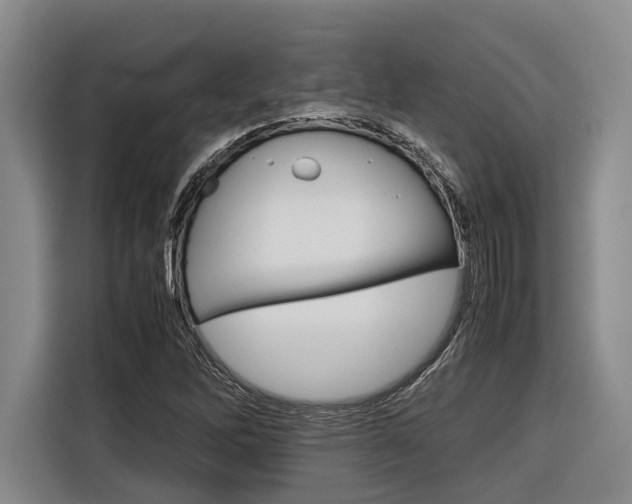 X0000116561262200912100936
