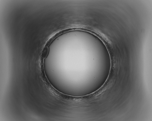 X0000116561264200912100936