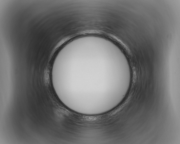 X0000116561266200912100936