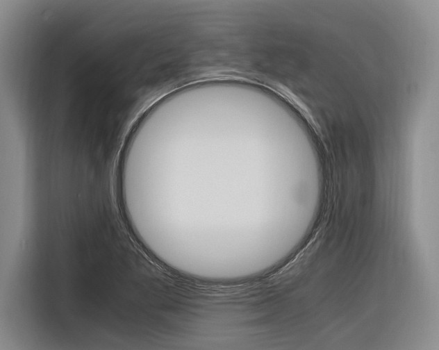 X0000116561269200912100936