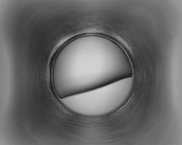 X0000116561270200912100936