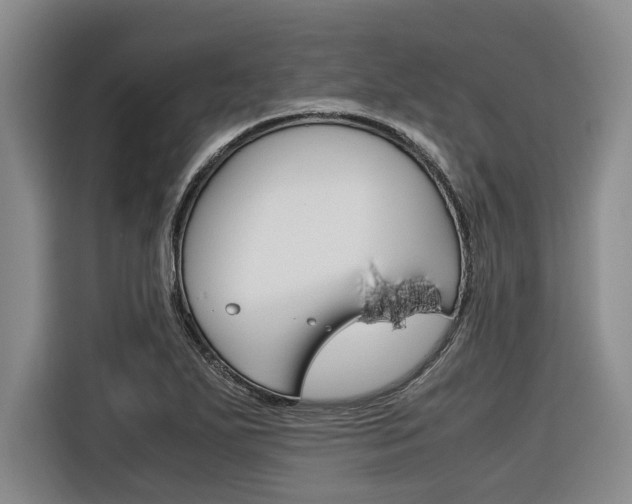 X0000116561271200912100936