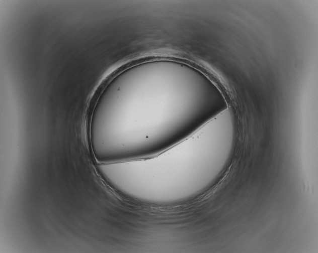 X0000116561272200912100936