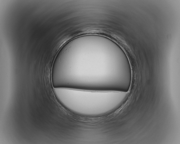 X0000116561273200912100936