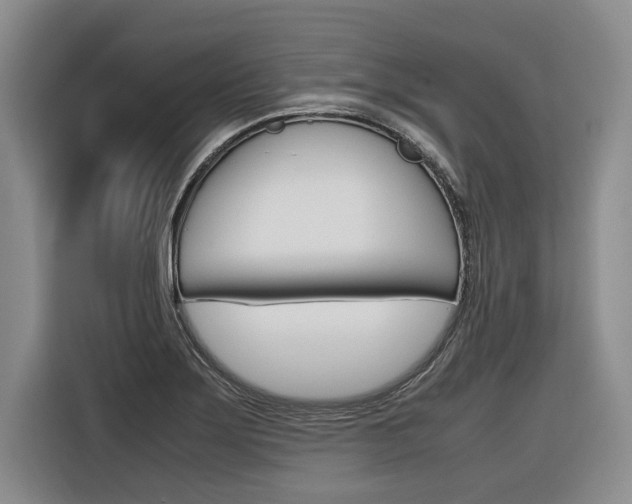 X0000116561275200912100936