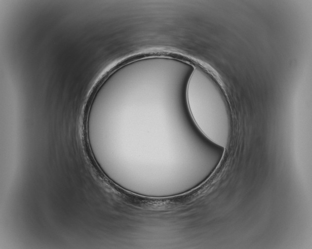 X0000116561279200912100936