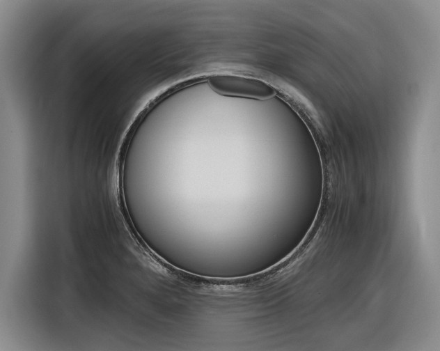 X0000116561280200912100936