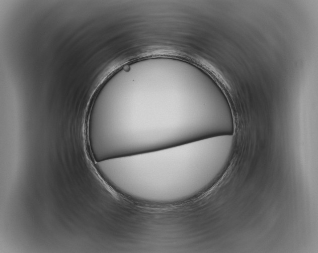 X0000116561282200912100936