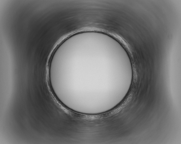 X0000116561286200912100936