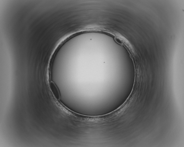 X0000116561288200912100936
