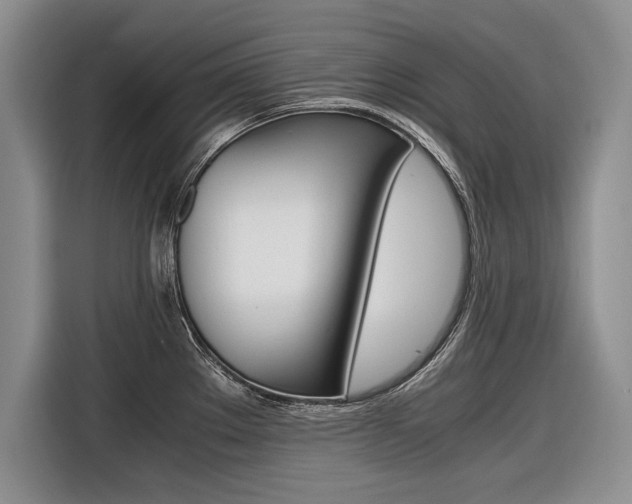 X0000116561289200912100936