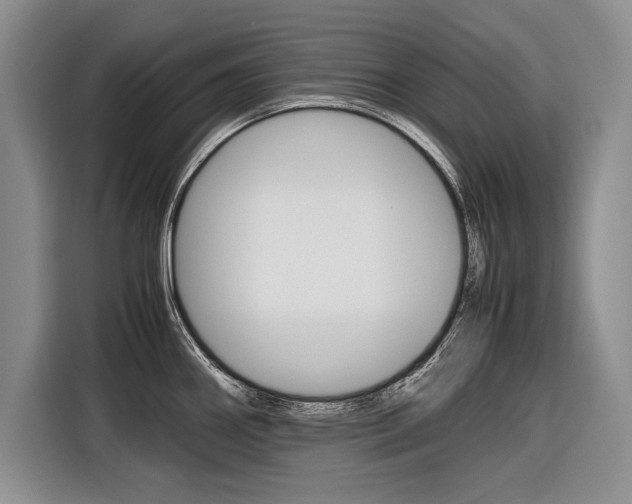 X0000116561290200912100936