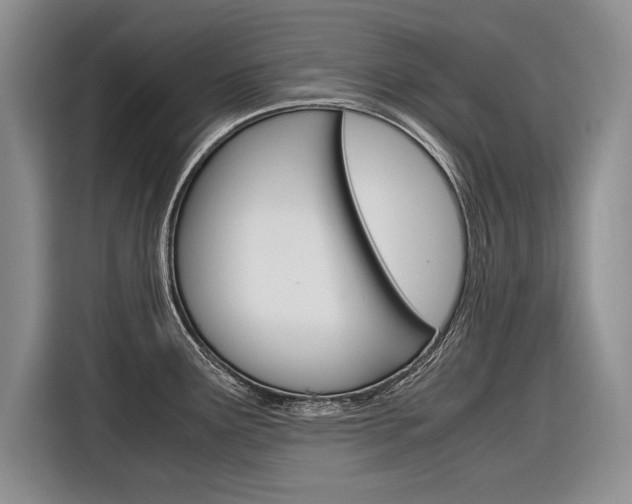 X0000116561291200912100936