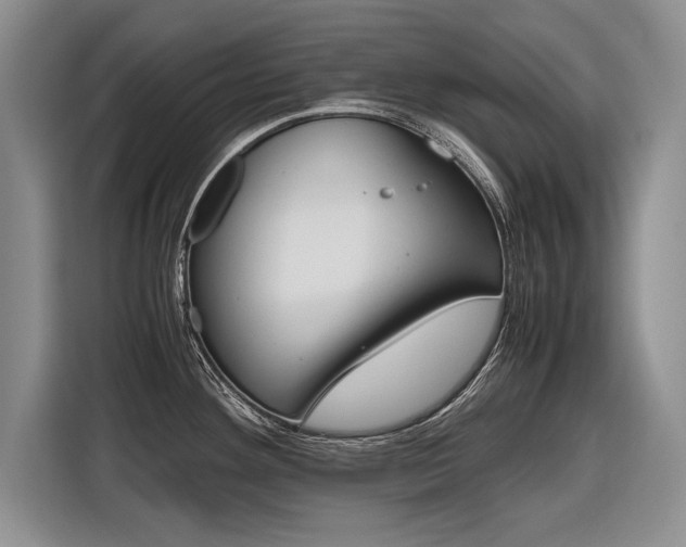 X0000116561292200912100936
