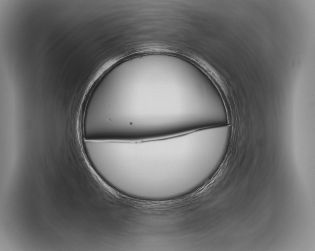 X0000116561293200912100936