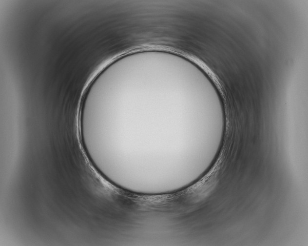X0000116561294200912100936