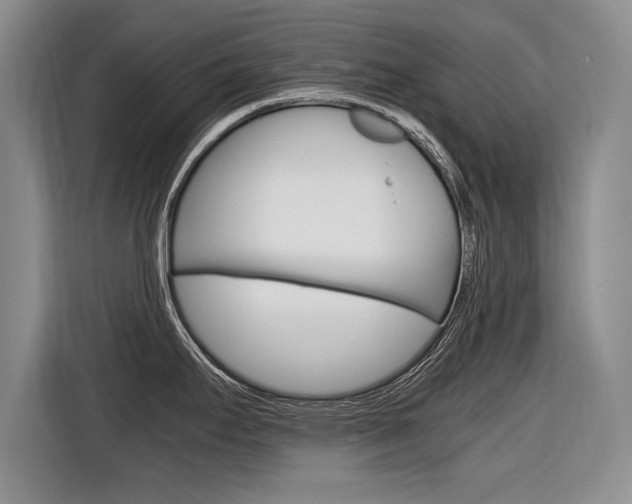 X0000116561295200912100936