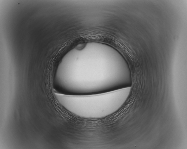 X0000116561297200912100935