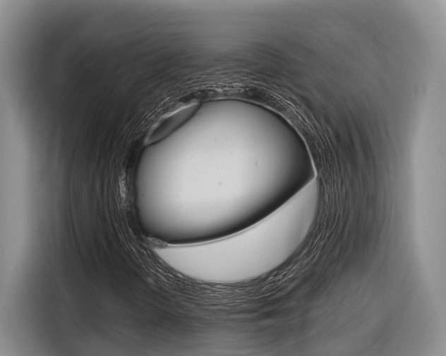X0000116561298200912100935