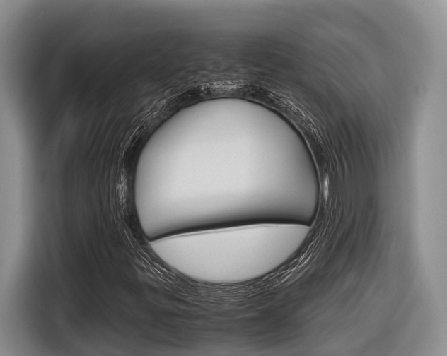 X0000116561299200912100935