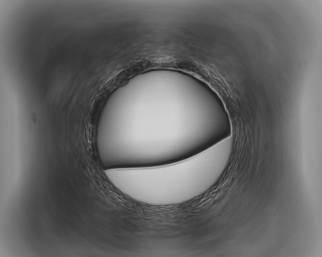 X0000116561301200912100935