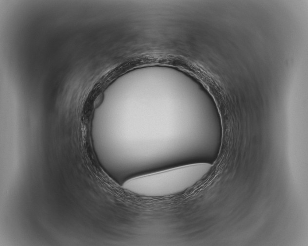 X0000116561302200912100935