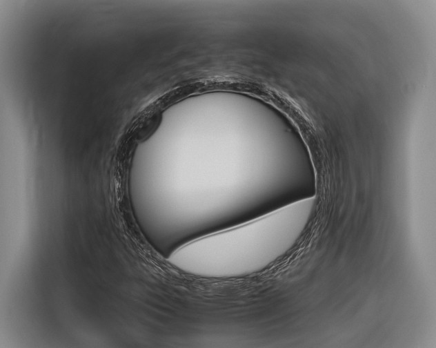X0000116561303200912100935