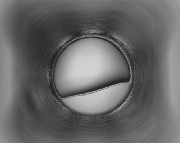 X0000116561305200912100935