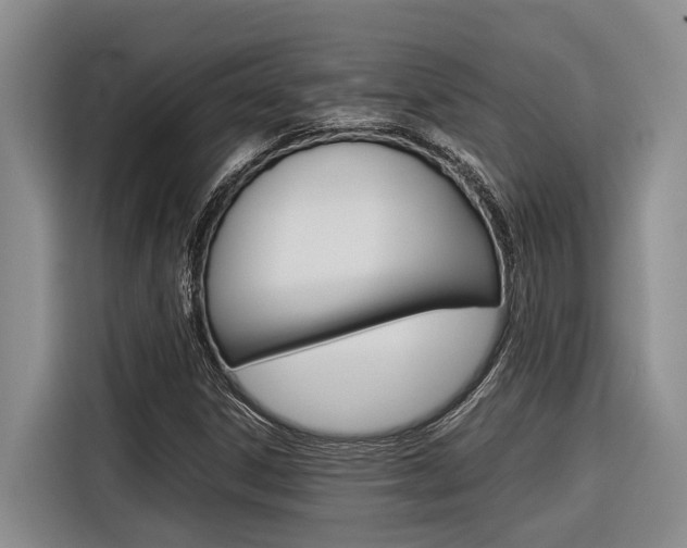 X0000116561306200912100935