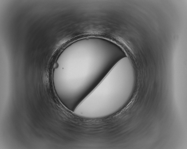 X0000116561307200912100935