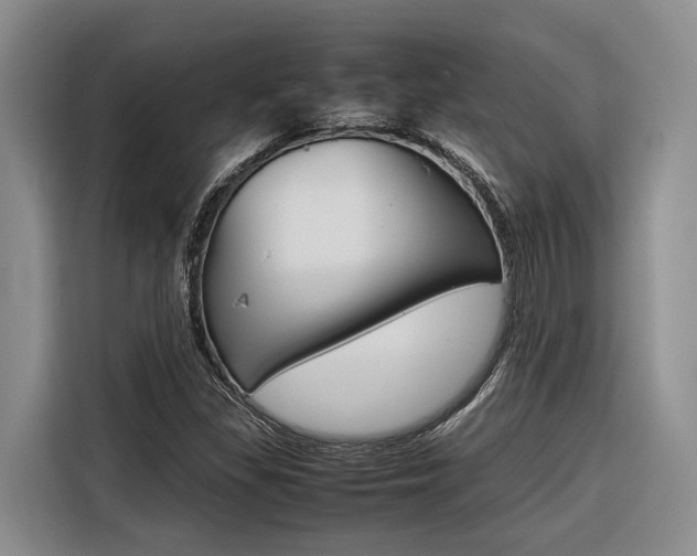 X0000116561309200912100935