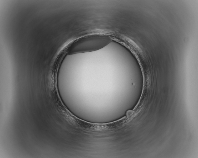 X0000116561310200912100935