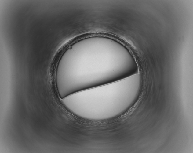 X0000116561311200912100935