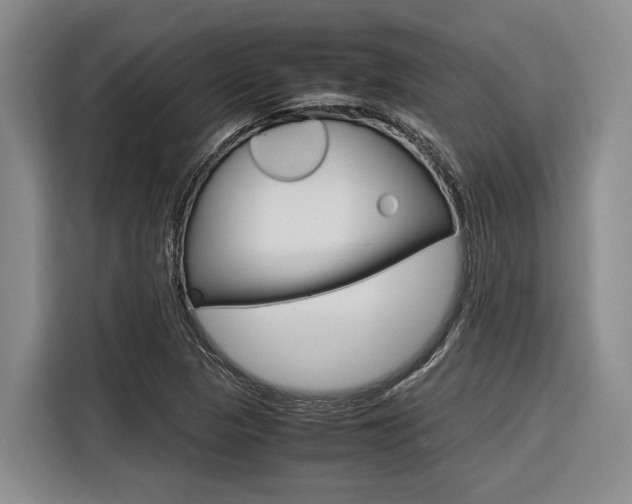 X0000116561313200912100935