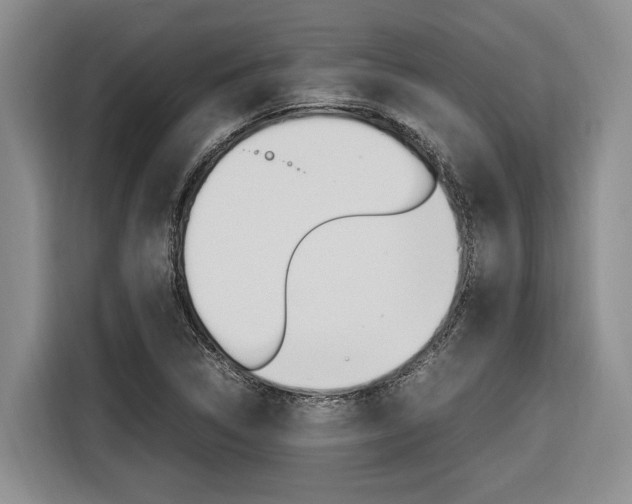 X0000116561314200912100935