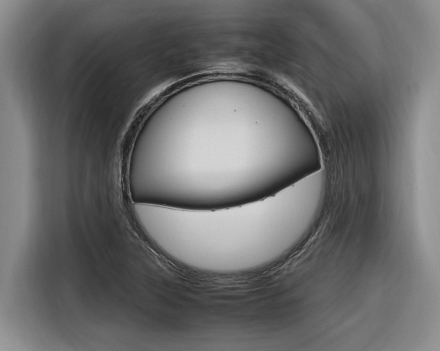 X0000116561315200912100935