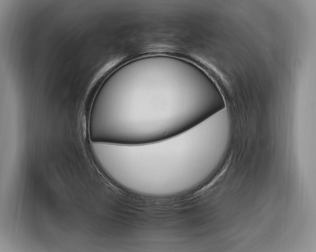 X0000116561317200912100935