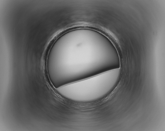 X0000116561318200912100935