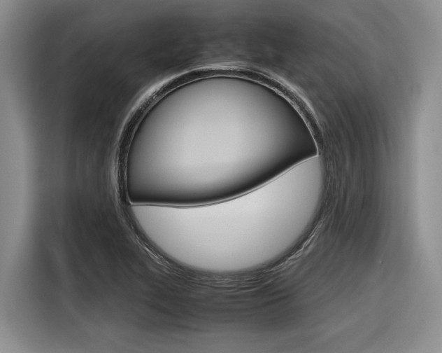 X0000116561319200912100935