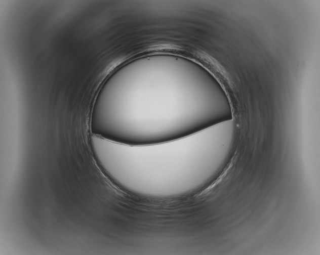 X0000116561321200912100935