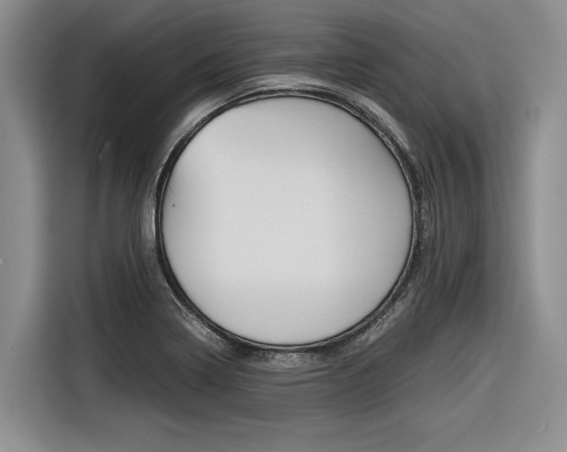 X0000116561322200912100935