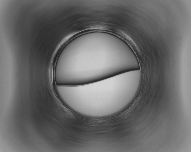 X0000116561323200912100935