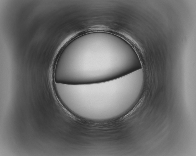 X0000116561325200912100935